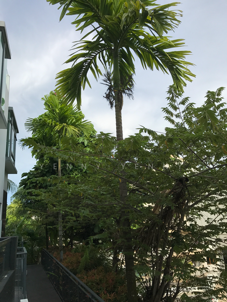 For Rent - Centurion 12