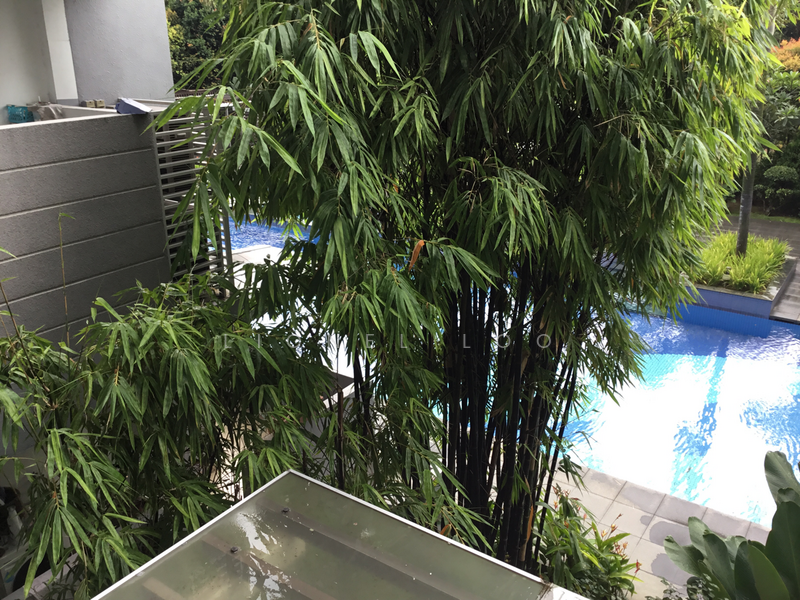 For Rent - Viz at Holland