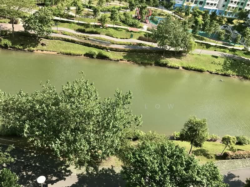 677D Punggol Drive, 677D Punggol Drive, 2 Bedrooms, 1,100 sqft, HDB Flat For Rent, by Esther Low, 20478527 - PropertyGuru.com.sg