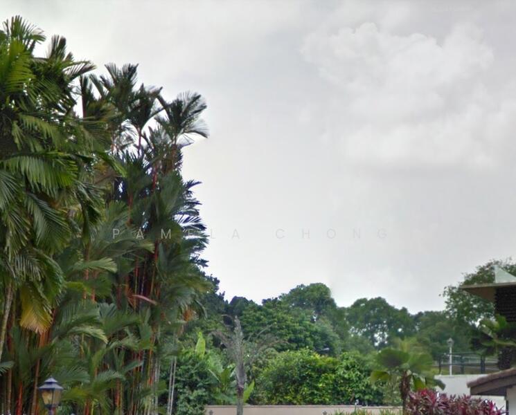 ATTRACTIVE $18XX PSF⭐️PRIME CHANCERY GCB PLOT⭐️ DUAL FRONTAGE ☎️ PAM 9022 8600, Chancery Road/ Chancery Lane/ Bukit Tunggal, Newton / Novena, 5 Bedrooms, 8,000 sqft, Good Class Bungalow For Sale, by Pamela Chong, 20486966 - PropertyGuru.com.sg