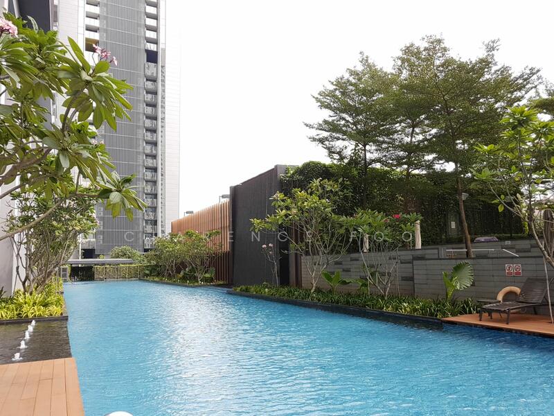 Huge Lap Pool