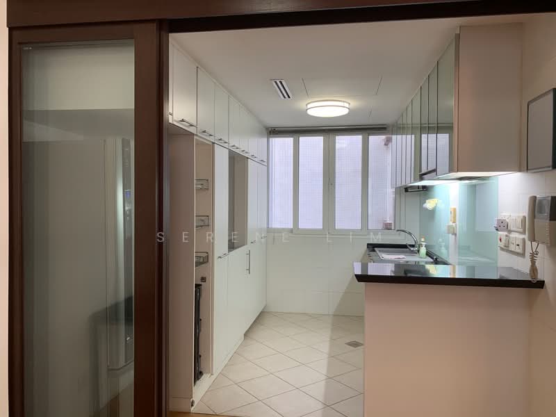 Robertson 100, 100 Robertson Quay, 2 Bedrooms, 872 sqft, Apartment For Rent, by Serene Lim, 20519680 - Enclosed kitchen - PropertyGuru.com.sg