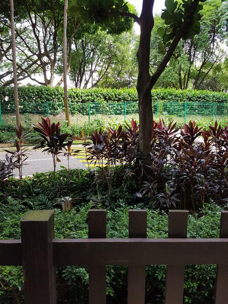 For Rent - Goldenhill Park Condo