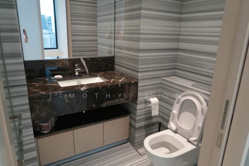Ardmore 3, 3 Ardmore Park, 3 Bedrooms, 1,744 sqft, Condominium For Rent, by Timothy Chong, 20554987 - Common Bath - PropertyGuru.com.sg