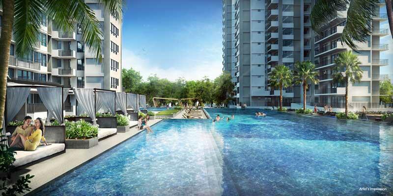Infinity Pool - Olympic Length 