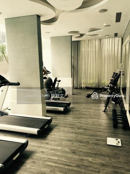 Professional Gym