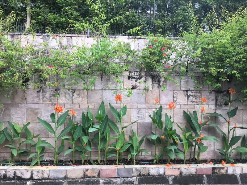 One Tree Hill, One Tree Hill, 5 Bedrooms, 4,180 sqft, Semi-Detached House For Rent, by Chong Lay Guan, 20631768 - PropertyGuru.com.sg