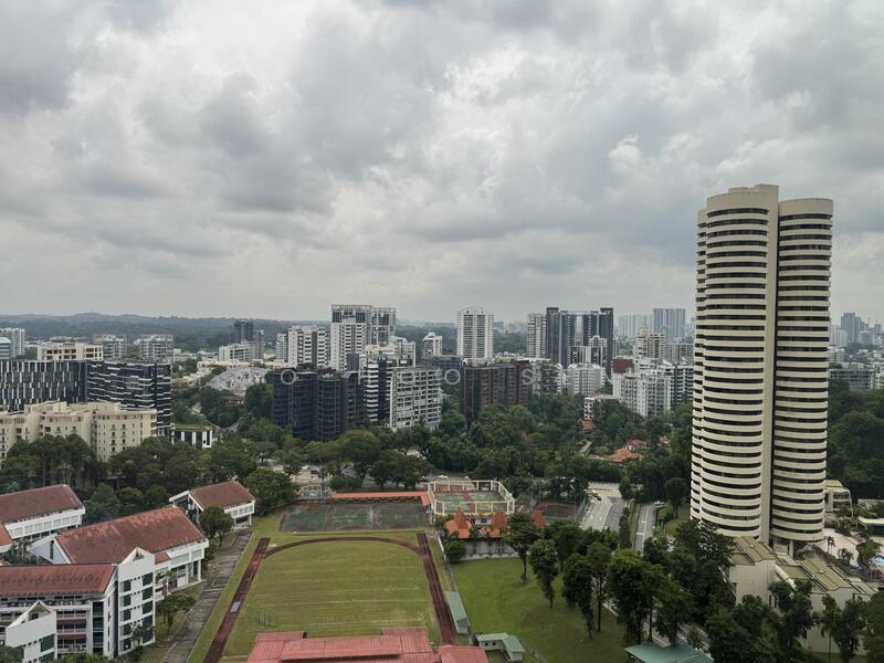 VIEW FROM UNIT