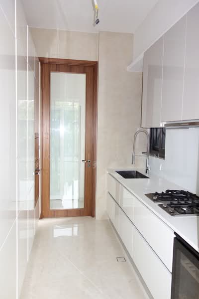 One Balmoral, 1 Balmoral Road, 3 Bedrooms, 1,787 sqft, Condominium For Rent, by Ang Siew Ing 洪秀英, 20691837 - Fully equipped kitchen - PropertyGuru.com.sg