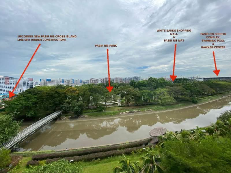 421 Pasir Ris Drive 6, 421 Pasir Ris Drive 6, 3 Bedrooms, 1,410 sqft, HDB Flat For Rent, by Carol Chu, 20700966 - PropertyGuru.com.sg