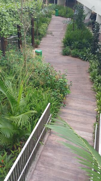 Roof Garden