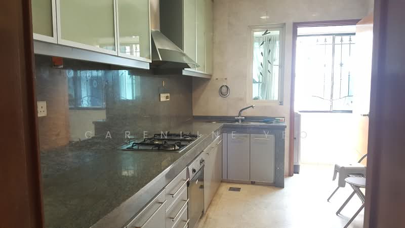 Haigsville, Haigsville Drive, 3 Bedrooms, 2,400 sqft, Condominium For Rent, by Carenline Yeo, 20726314 - Spaces kitchen - PropertyGuru.com.sg