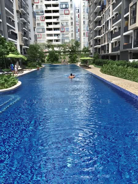 The Rainforest, 331 Choa Chu Kang Avenue 3, 1 Bedroom, 400 sqft, Executive Condominium For Rent, by Anthony Lee, 20739445 - 50m lap pool - PropertyGuru.com.sg