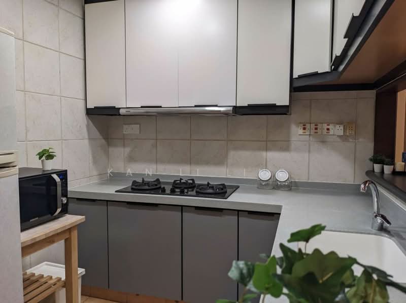 UE Square, 205 River Valley Road, 1 Bedroom, 850 sqft, Condominium For Rent, by Kan Li Ling, 20743208 - PropertyGuru.com.sg