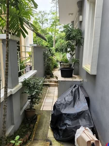 Holland Grove, Holland Grove View, 4 Bedrooms, 3,500 sqft, Semi-Detached House For Rent, by Stephen Tan, 20750466 - Side Garden - PropertyGuru.com.sg