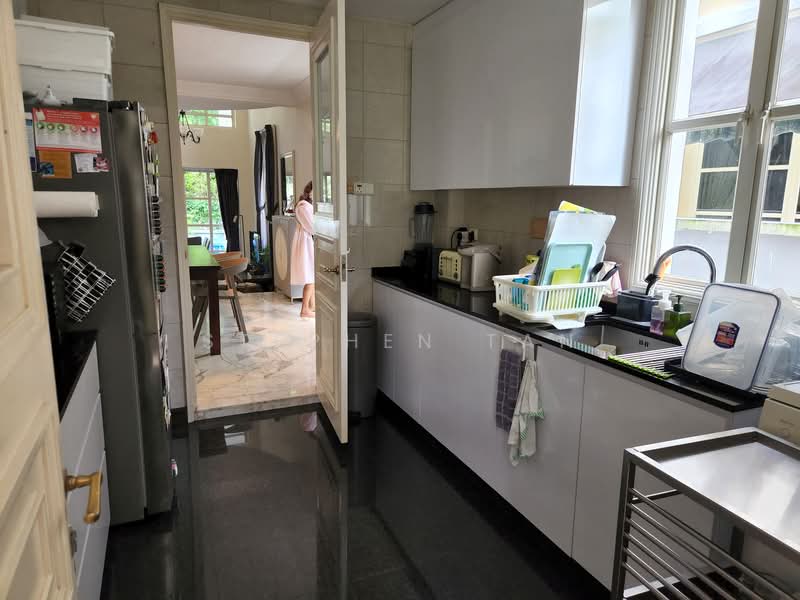 Holland Grove, Holland Grove View, 4 Bedrooms, 3,500 sqft, Semi-Detached House For Rent, by Stephen Tan, 20750466 - Kitchen - PropertyGuru.com.sg