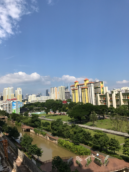 The Crest, 101 Prince Charles Crescent, 2 Bedrooms, 775 sqft, Condominium For Rent, by Evelyn Bay, 20790348 - PropertyGuru.com.sg