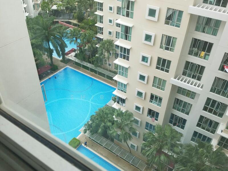 View from Living-hall windows