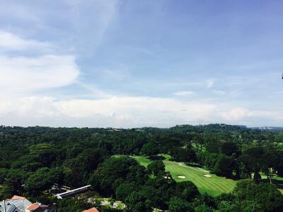 For Sale - Thomson Grand