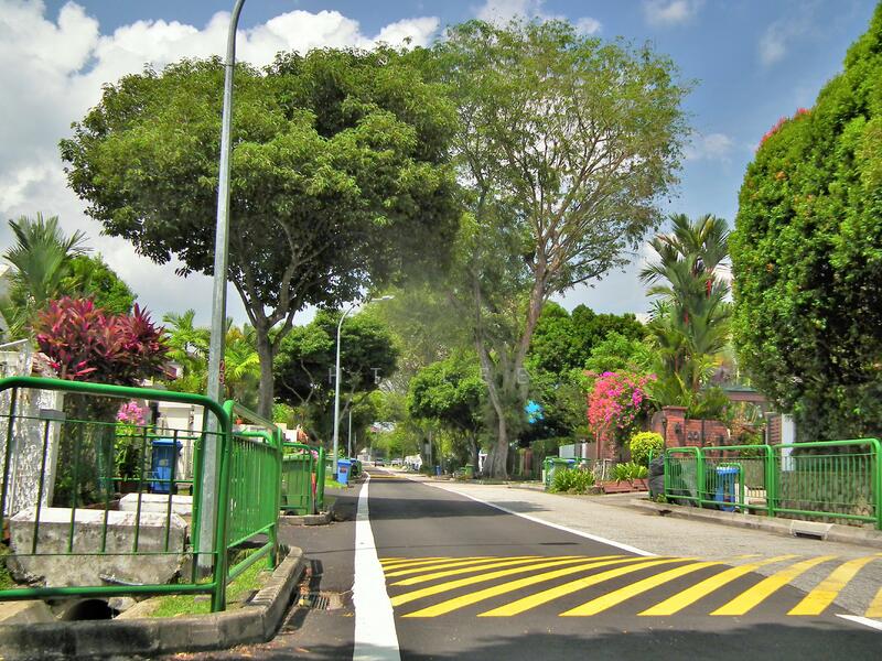 Modern Semi-Detached!Totally Bright!Totally Well-ventilated!Totally Pet-Friendly!, Coronation Road West, 4 Bedrooms, 4,090 sqft, Semi-Detached House For Rent, by HT Lee, 20853488 - PropertyGuru.com.sg