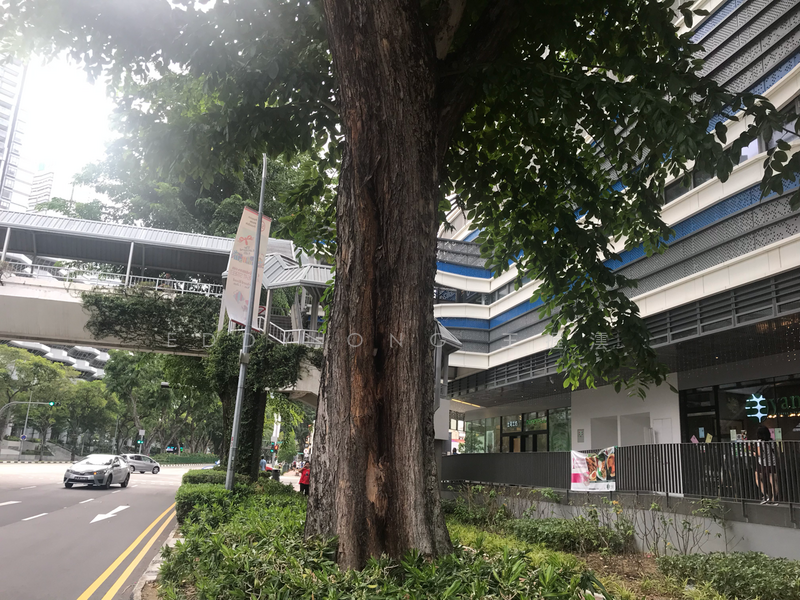 City Gate, 371 Beach Road, 540 sqft, Food & Beverage For Sale, by Eddy Ong 王握澐, 20895785 - CommercialGuru.com.sg