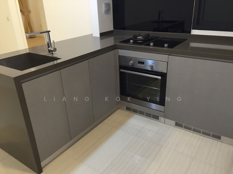 Sky Green, 568 Macpherson Green, 2 Bedrooms, 797 sqft, Condominium For Rent, by Liang Kok Ying, 20897866 - Well Equipped Kitchen - PropertyGuru.com.sg