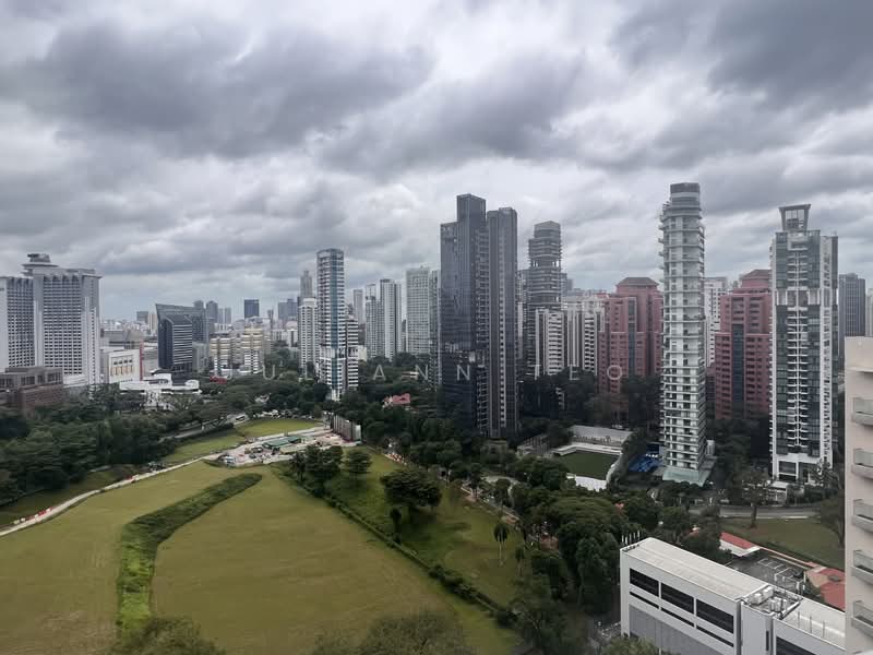 55 Paterson Road photo 5