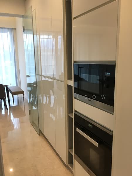 Mon Jervois, 43 Jervois Road, 3 Bedrooms, 1,518 sqft, Condominium For Rent, by Serene Leow, 20906652 - PropertyGuru.com.sg