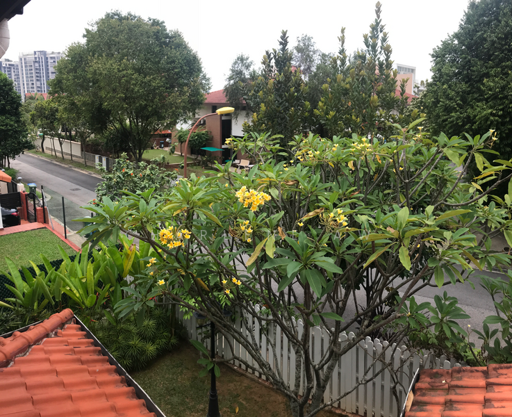 Thomson Green, Thomson Hill Estate, 5 Bedrooms, 4123 sqft, Landed