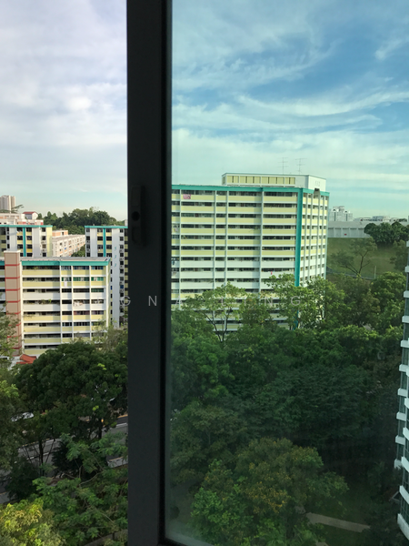 The Madeira, 52 Bukit Batok Street 31, Room Rental, 200 sqft, Condominium For Rent, by Egna Ling, 20945973 - PropertyGuru.com.sg