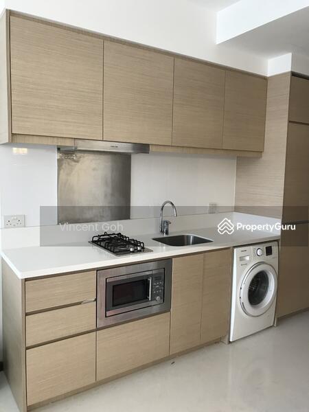 Kitchen Cabinets with built in Hood, Hob, Oven, Sink and Washinb Machine