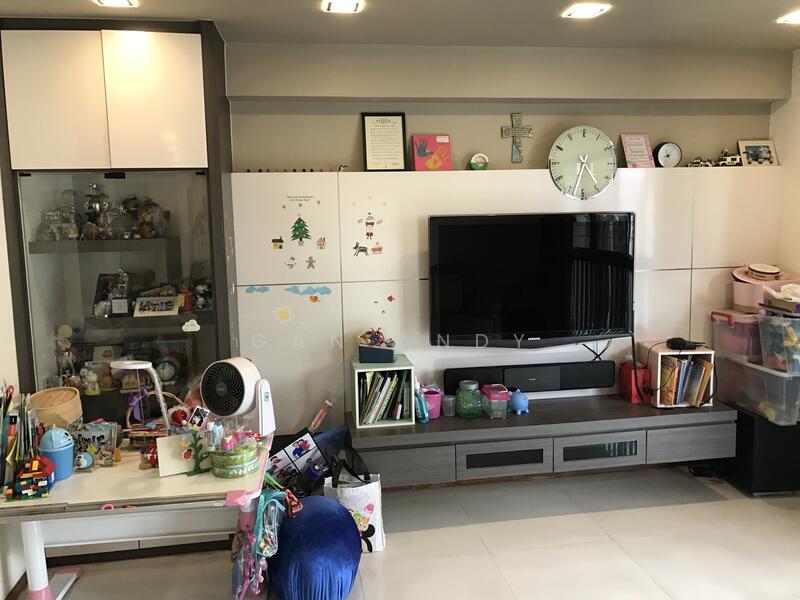 Built in TV Console with abundant storage