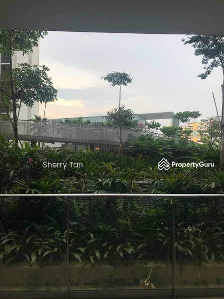 For Rent - The Panorama