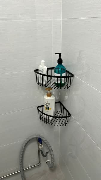 248 Bangkit Road, 248 Bangkit Road, Room Rental, 150 sqft, HDB Flat For Rent, by Michelle Shah 蔡美华, 20952805 - PropertyGuru.com.sg