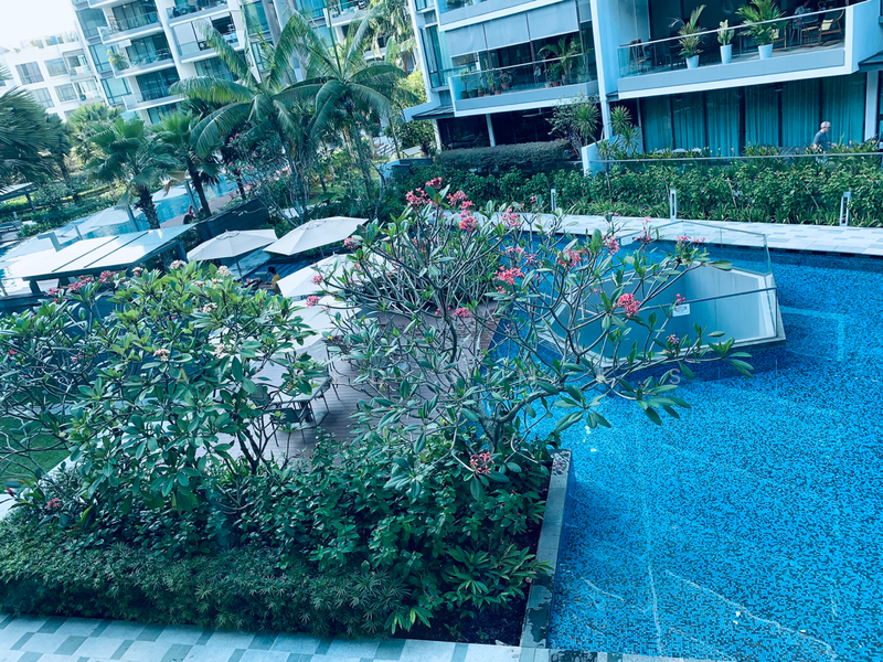 Parvis, 16 Holland Hill, Room Rental, 250 sqft, Condominium For Rent, by Alfred Sim, 20961176 - PropertyGuru.com.sg