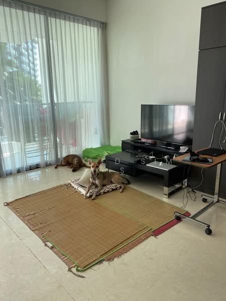 Parvis, 16 Holland Hill, Room Rental, 250 sqft, Condominium For Rent, by Alfred Sim, 20961176 - PropertyGuru.com.sg