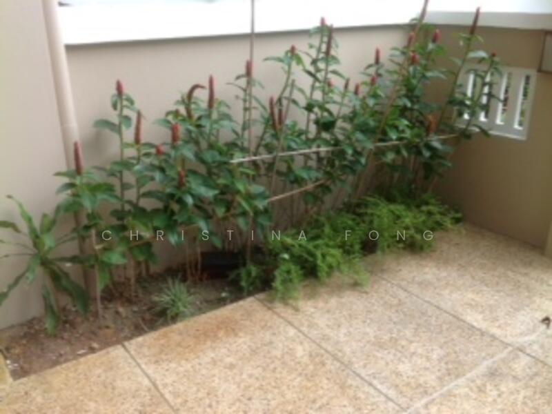 frontage of the house