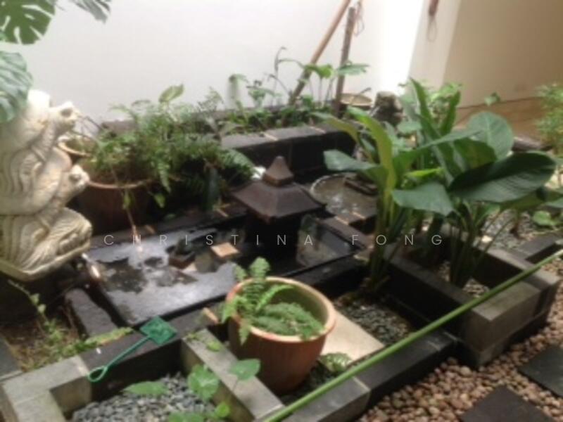 water feature with plants