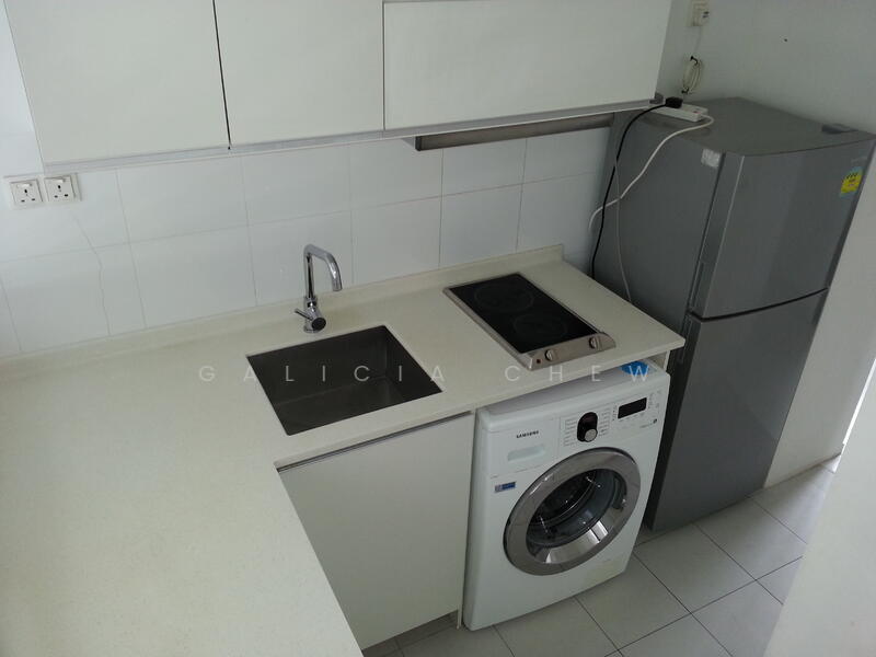 Kitchen Area with Induction Stove, Fridge & Washer