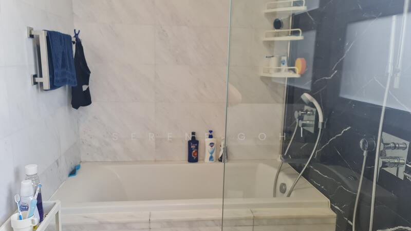 Master toilet bathtub area