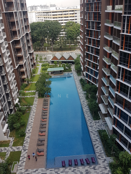 beautiful pool view!