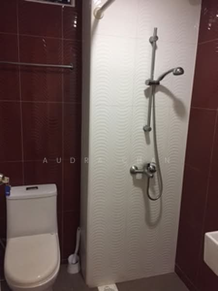 Trevose Park, 62 Trevose Crescent, 2 Bedrooms, 818 sqft, Condominium For Rent, by Audra Chan, 21049303 - Common Bathroom - PropertyGuru.com.sg