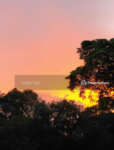 For Rent - Tanglin Park