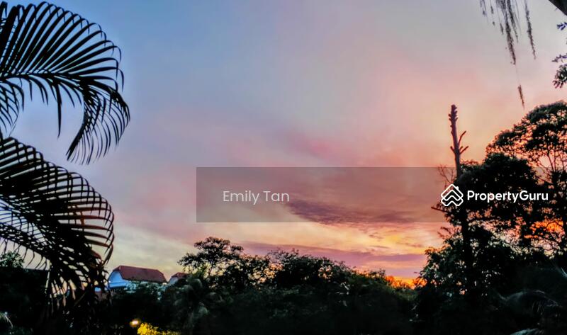 For Rent - Tanglin Park