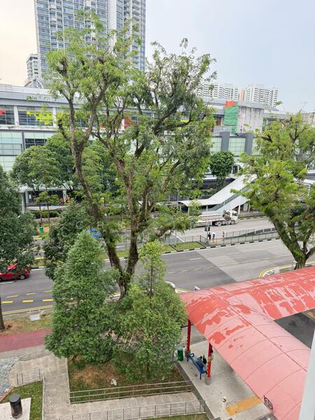 322 Ang Mo Kio Avenue 3, 322 Ang Mo Kio Avenue 3, Ang Mo Kio / Bishan / Thomson, Room Rental, 250 sqft, HDB Flat For Rent, by Christine Chin, 21082805 - PropertyGuru.com.sg