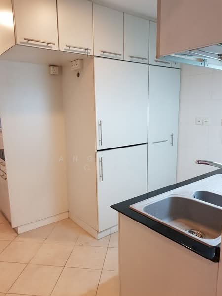 Robertson 100, 100 Robertson Quay, 2 Bedrooms, 1,066 sqft, Apartment For Rent, by Angeline Chan, 21130143 - Wash Area - PropertyGuru.com.sg