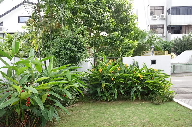 Brighton Avenue, Brighton Avenue, 5 Bedrooms, 3,642 sqft, Semi-Detached House For Rent, by BK Tan, 21168429 - PropertyGuru.com.sg