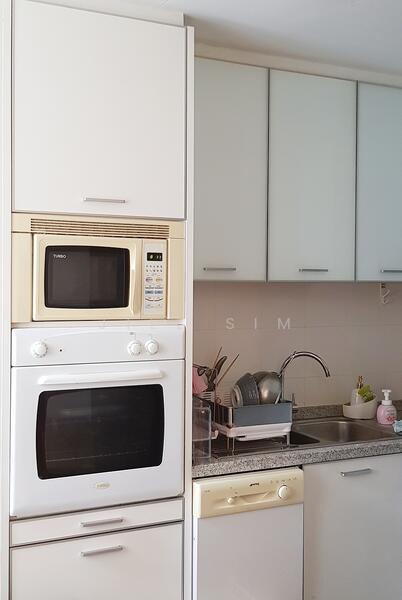 Visioncrest, 33 Oxley Rise, Orchard / River Valley, 1 Bedroom, 840 sqft, Apartment For Rent, by Jill Sim, 21178736 - Well Equipped Kitchen ( Dish washer) + Dryer and Washing Machine - PropertyGuru.com.sg