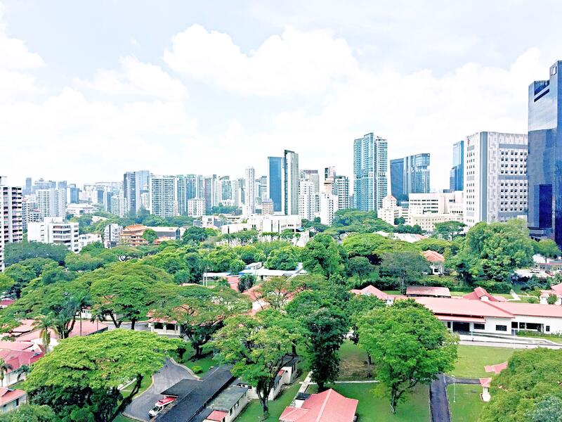City Suites, 235 Balestier Road, 1 Bedroom, 461 sqft, Apartment For Rent, by Donny Wong, 21189347 - Greenery View - PropertyGuru.com.sg