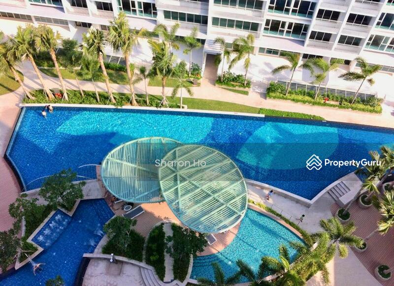 For Rent - Optima @ Tanah Merah